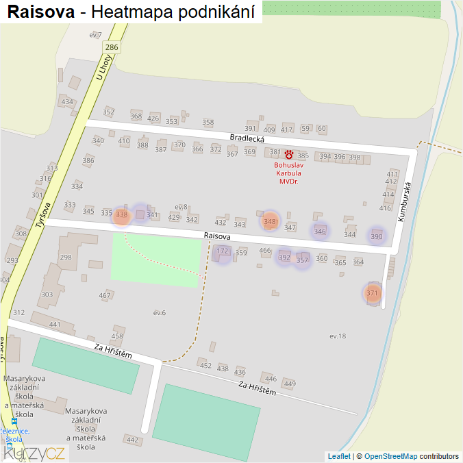 Mapa Raisova - Firmy v ulici.