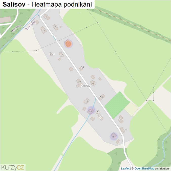 Mapa Salisov - Firmy v části obce.