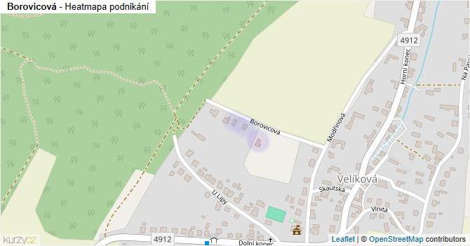 Borovicová - mapa podnikání