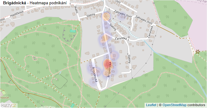 Brigádnická - mapa podnikání