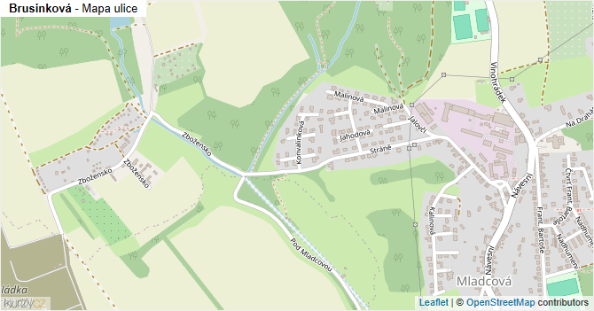 Brusinková - mapa ulice