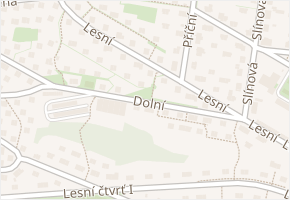 Lesní v obci Zlín - mapa ulice