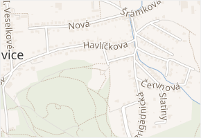 Skalní v obci Zlín - mapa ulice