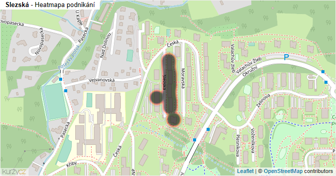 Slezská - mapa podnikání