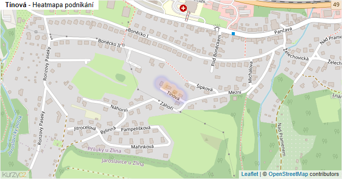 Tínová - mapa podnikání