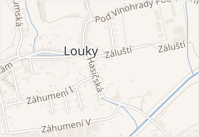 Záluští v obci Zlín - mapa ulice
