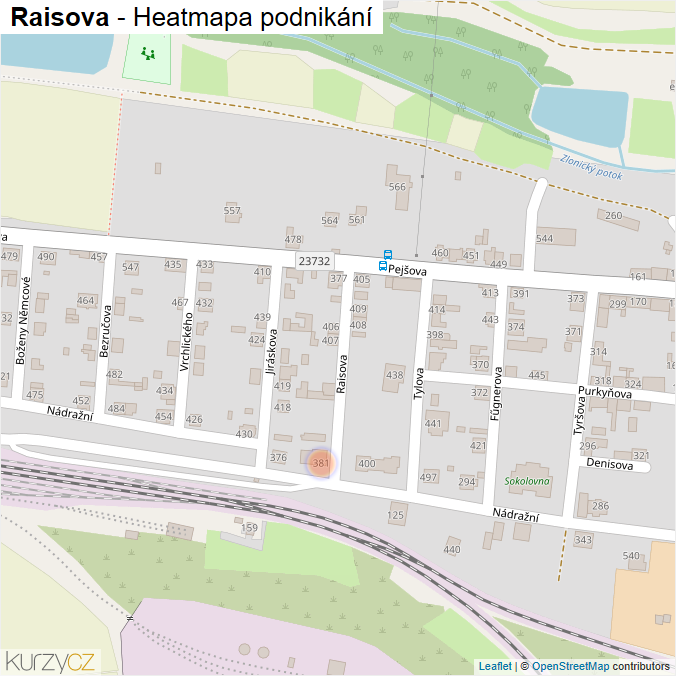 Mapa Raisova - Firmy v ulici.