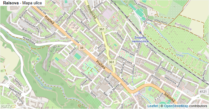 Raisova - mapa ulice