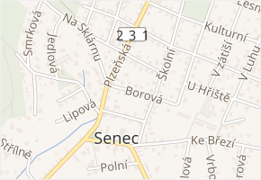 Borová v obci Zruč-Senec - mapa ulice
