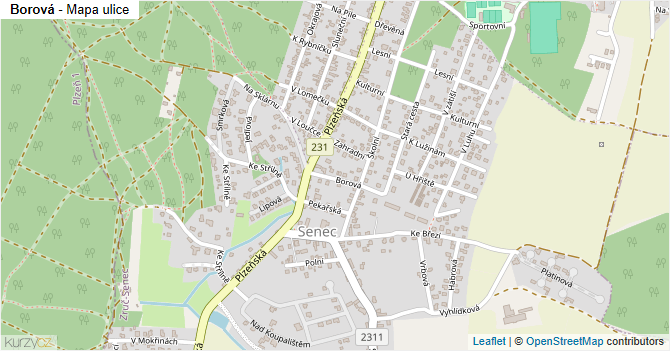 Borová - mapa ulice