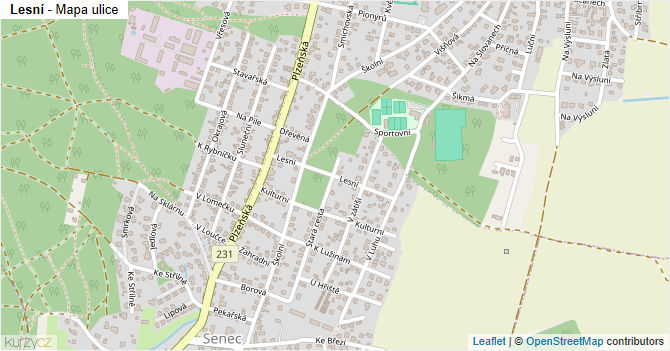 Lesní - mapa ulice