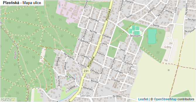 Plzeňská - mapa ulice
