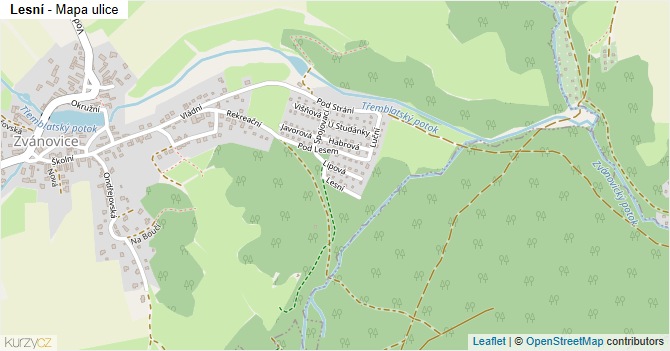 Lesní - mapa ulice