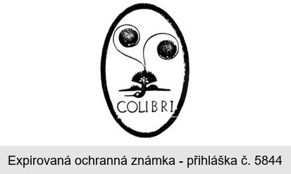 COLIBRI