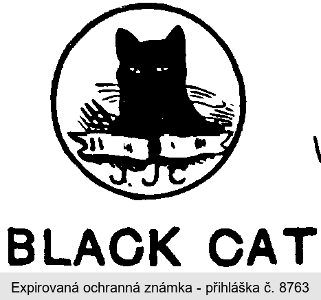 BLACK CAT