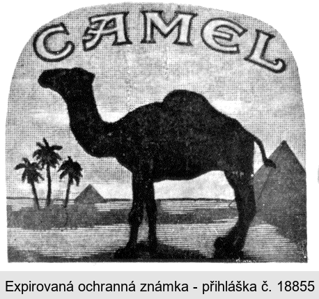 CAMEL