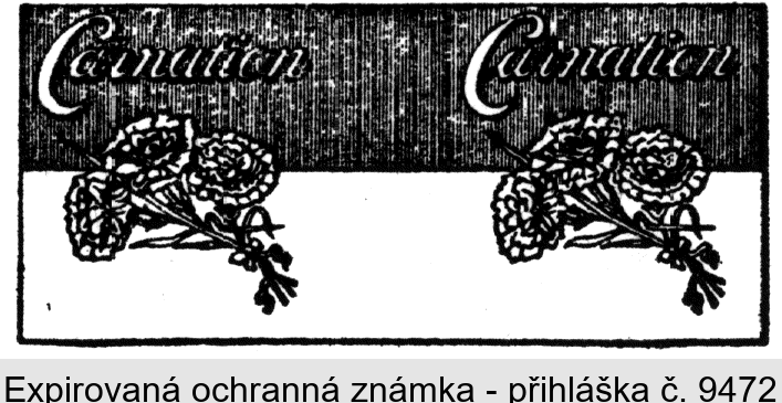 CARNATION