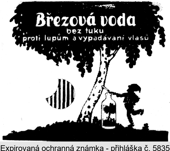 BREZOVAVODA