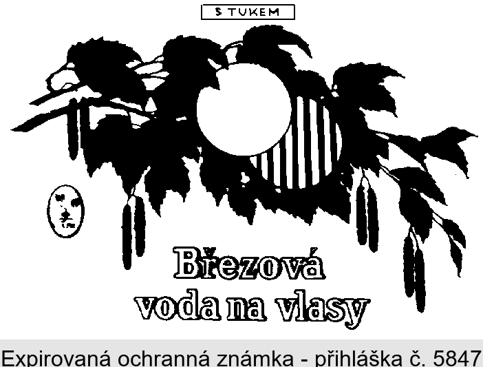 BREZOVAVODA/VODA