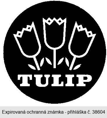 TULIP