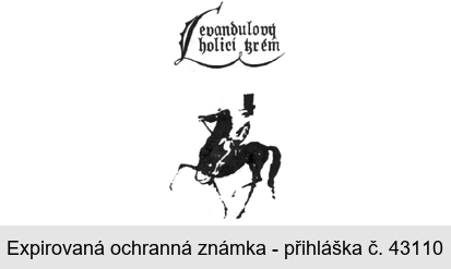 LEVANDULOVÝ HOLICÍ KRÉM