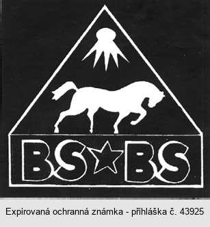 BSBS