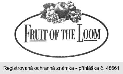 FRUIT OF THE LOOM