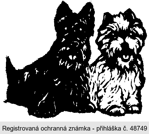 Ochranná známka
