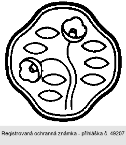 Ochranná známka