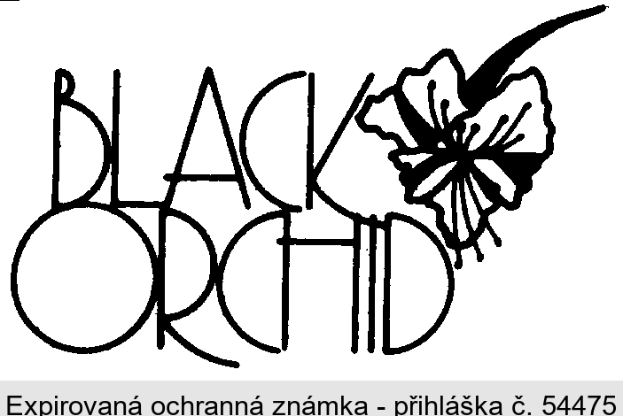 BLACK ORCHID