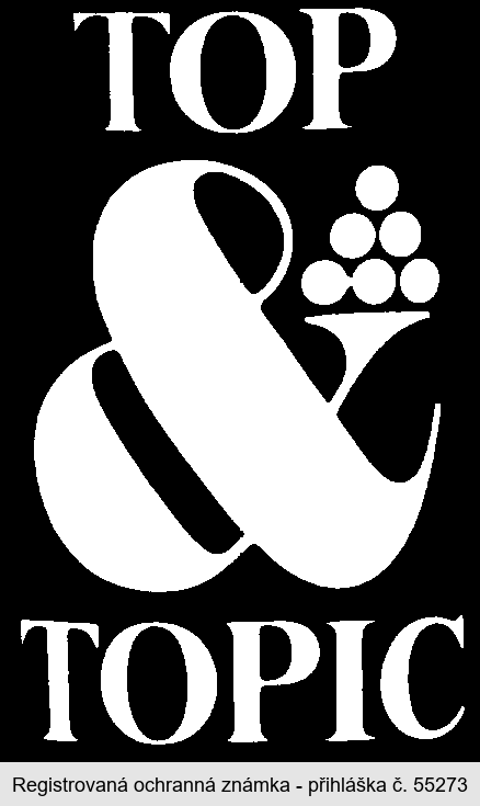 TOP&TOPIC