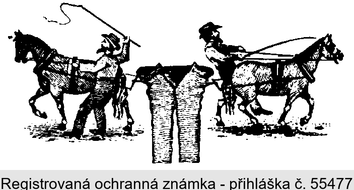 Ochranná známka