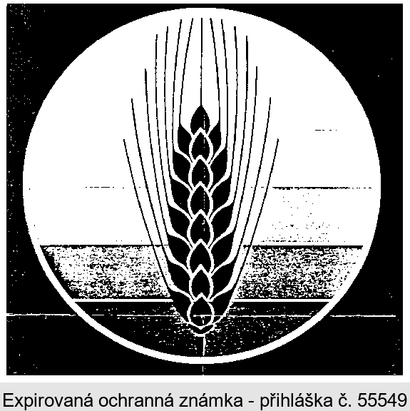 Ochranná známka