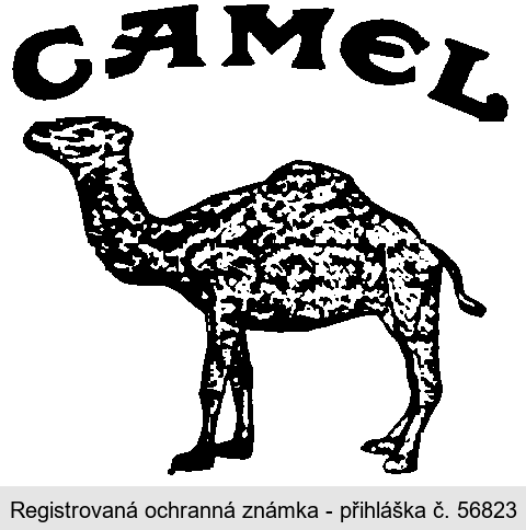 CAMEL