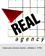 REAL AGENCY