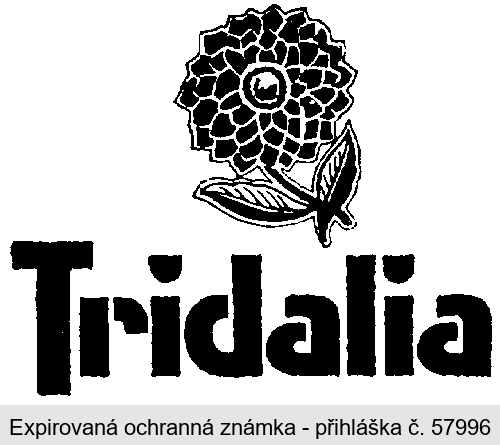 TRIDALIA