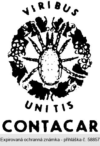 VIRIBUS UNITIS CONTACAR