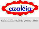 azaléia