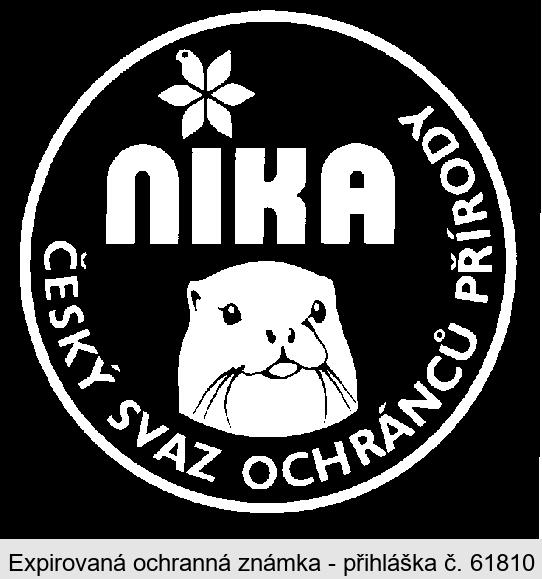 NIKA