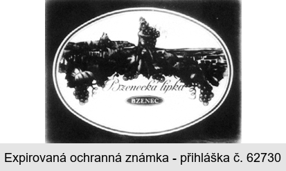 BZENECKÁ LIPKA BZENEC