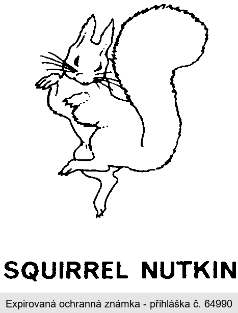 SQUIRREL NUTKIN
