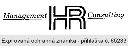 Management HR Consulting