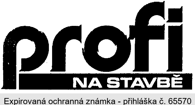 profi NA STAVBĚ