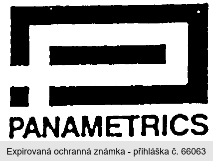 PANAMETRICS