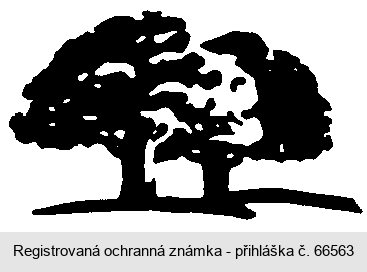 Ochranná známka