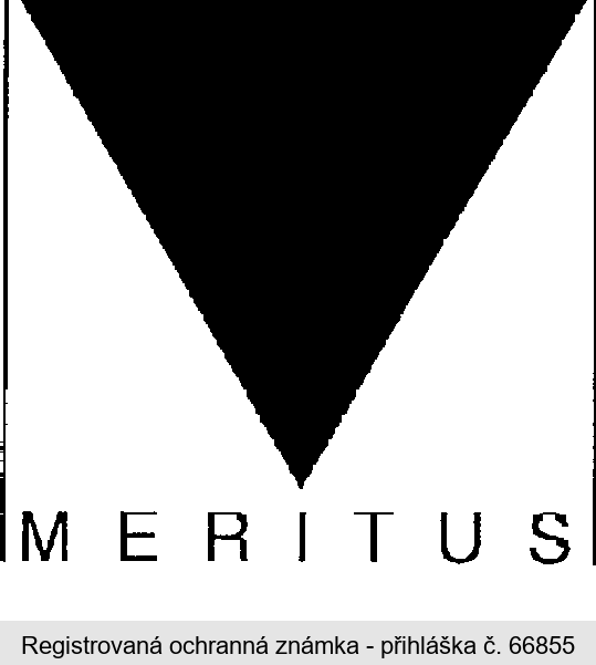 MERITUS