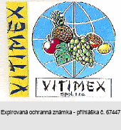 VITIMEX SPOL. S R.O.