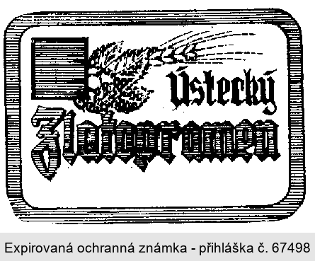 ÚSTECKÝ ZLATOPRAMEN