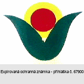 Ochranná známka