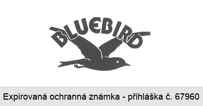 BLUEBIRD
